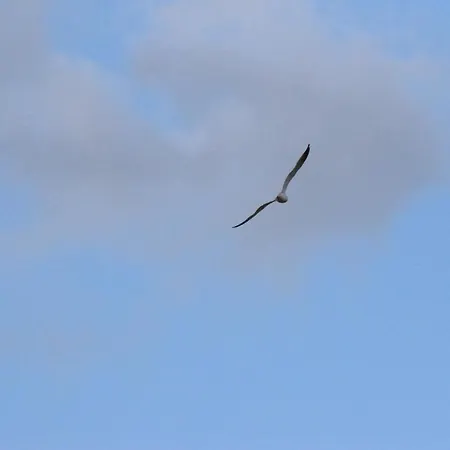 Il Respiro Bed & Breakfast Zoagli