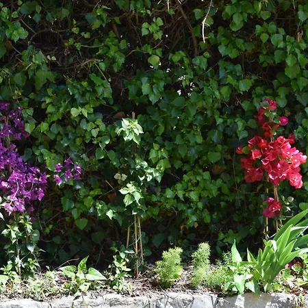 Il Respiro 3* Zoagli