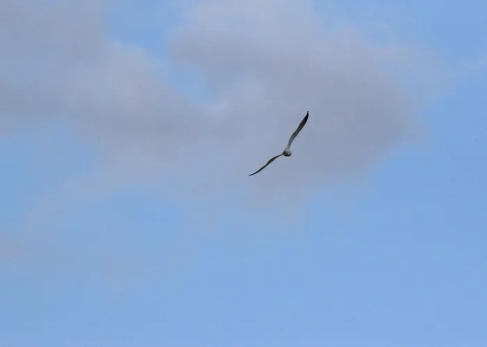 Il Respiro Panzió Zoagli