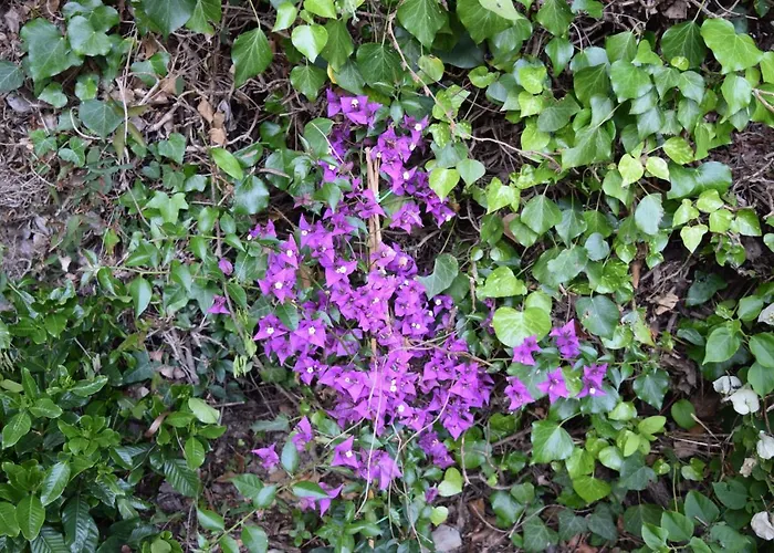 Il Respiro 3* Zoagli