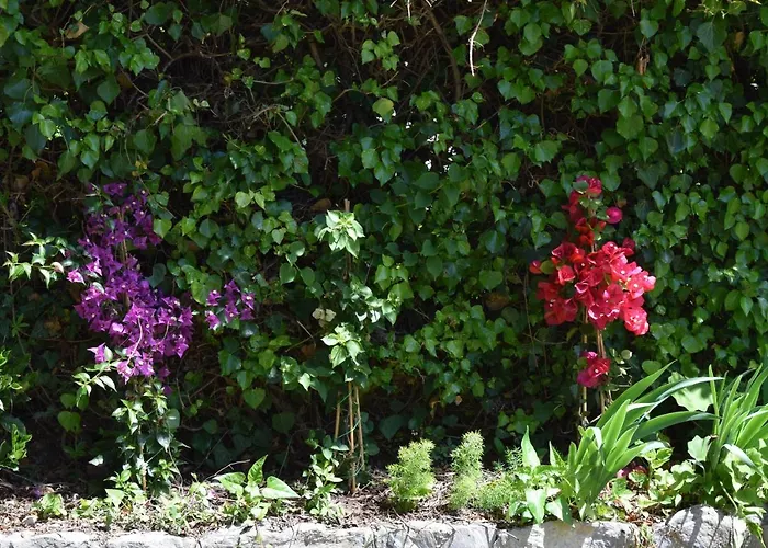 Il Respiro 3* Zoagli