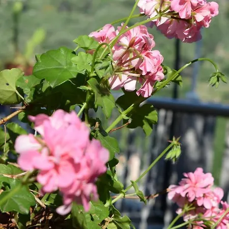 Bed & Breakfast Il Respiro