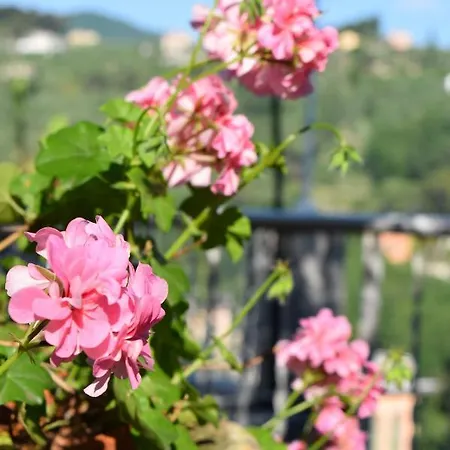 Il Respiro Bed & Breakfast Zoagli