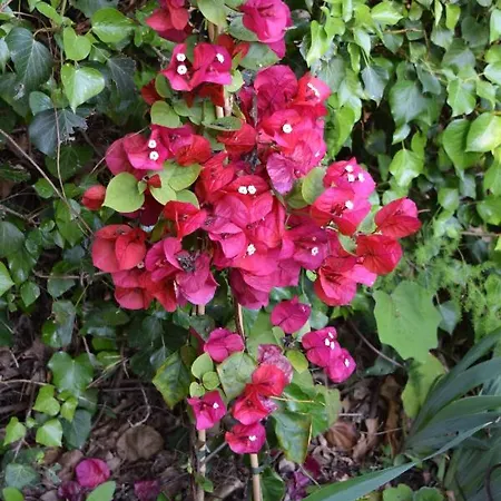 Bed & Breakfast Il Respiro