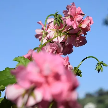 Bed & Breakfast Il Respiro Zoagli