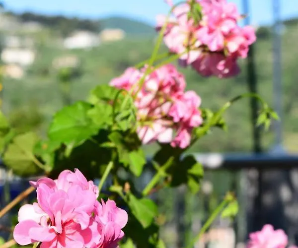 Il Respiro 3* Zoagli