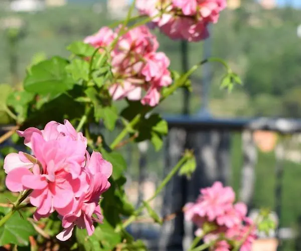 Il Respiro Panzió Zoagli