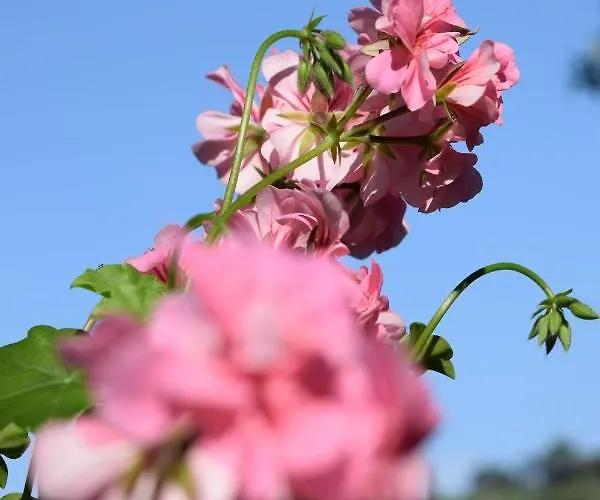 Couette-café Il Respiro Zoagli